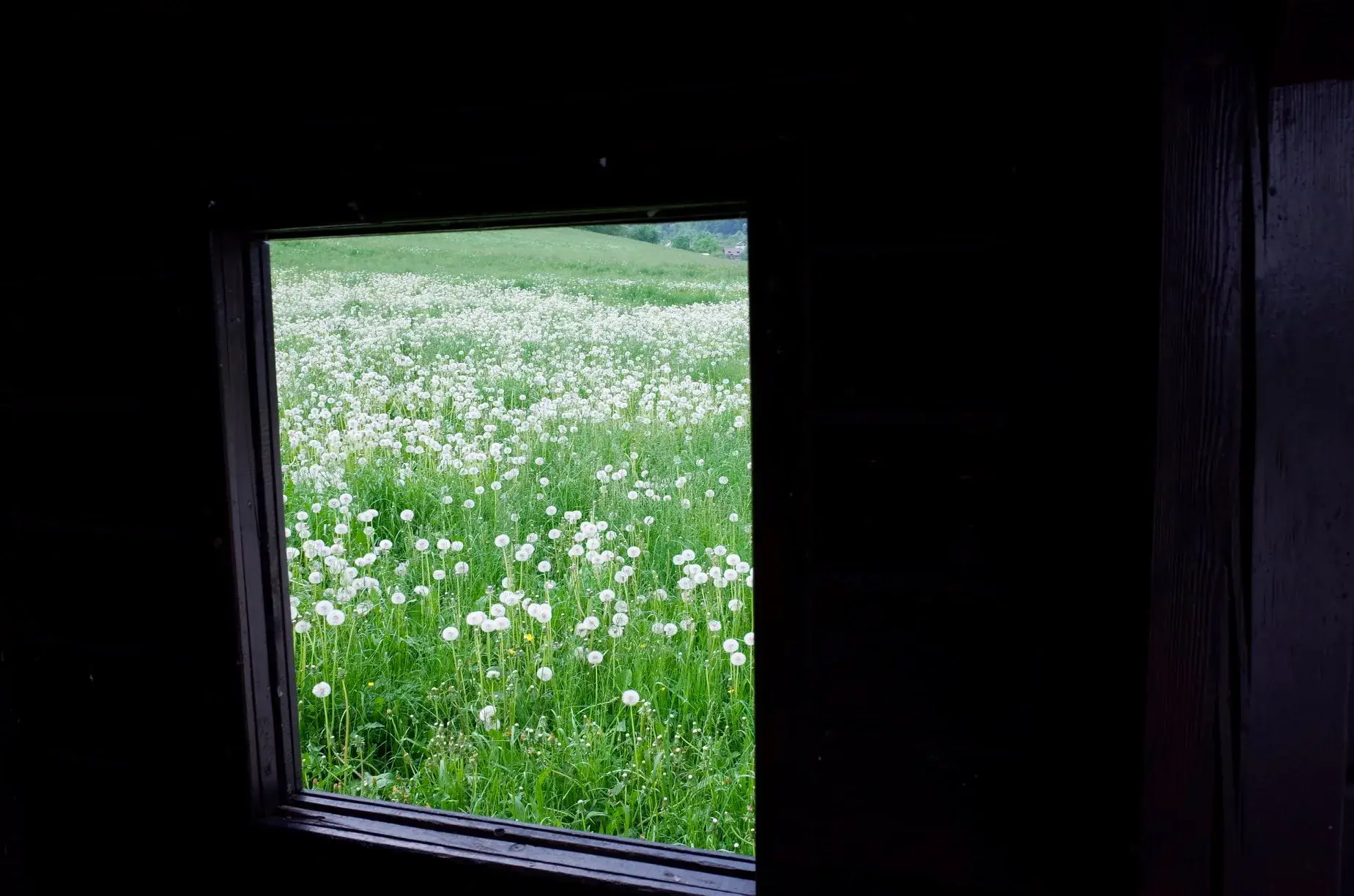 Austlia, Slovenia, Italy